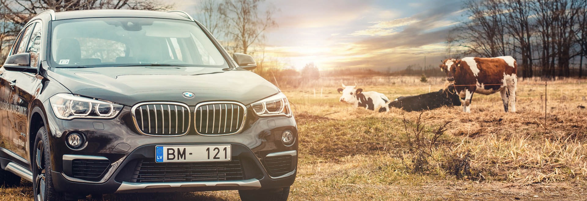 Imgi 3 Miljoepolitik